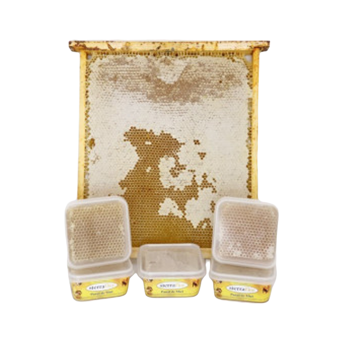 MIEL EN PANAL SIN LAMINA DE CERA