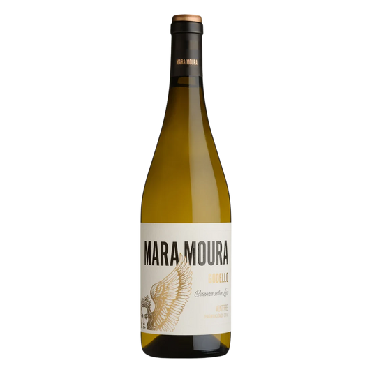 MARA MOURA GODELLO SOBRE LIAS