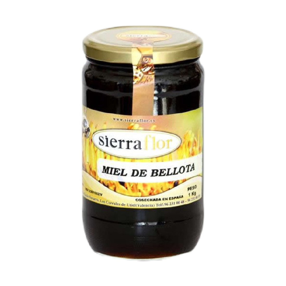 MIEL DE BELLOTA