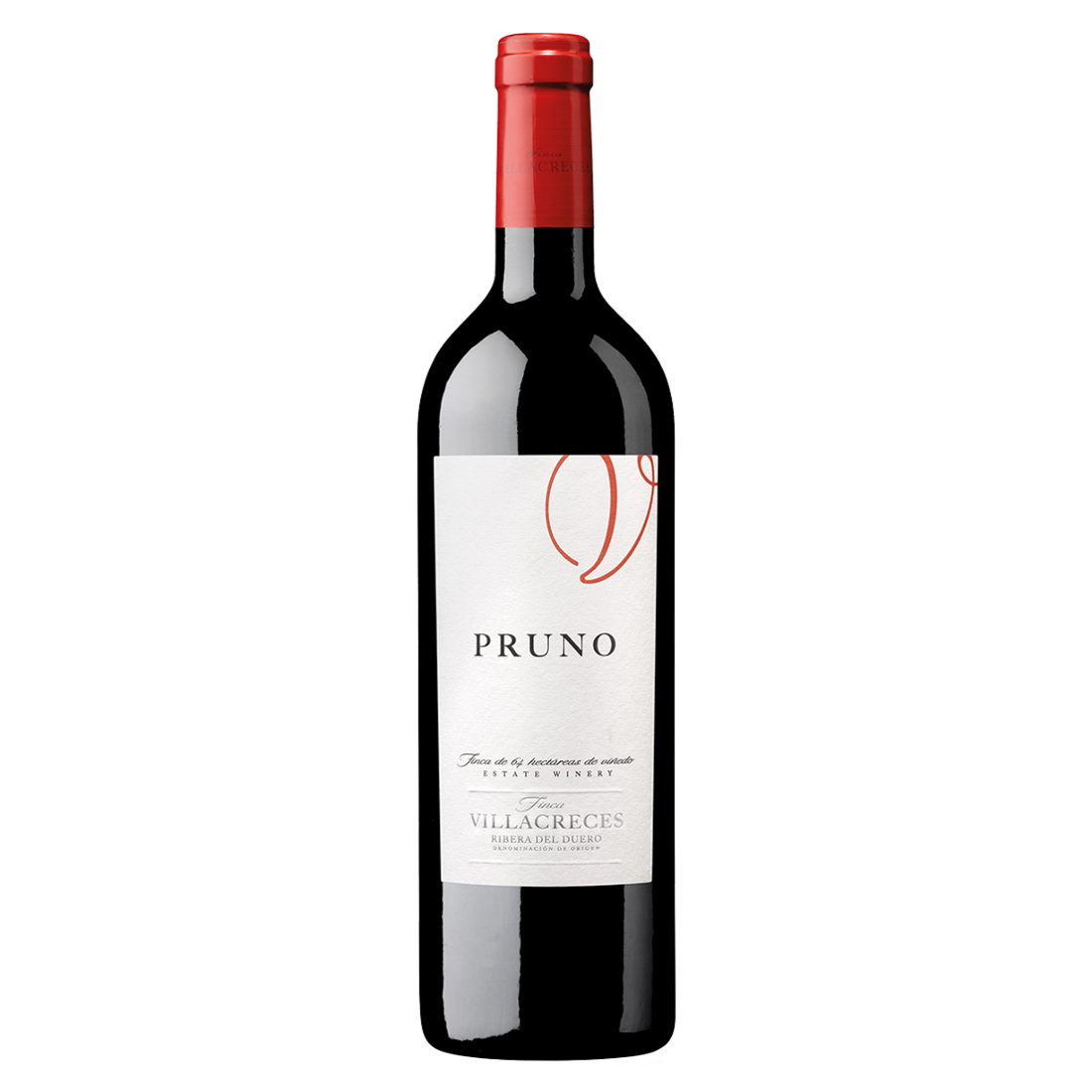 PRUNO